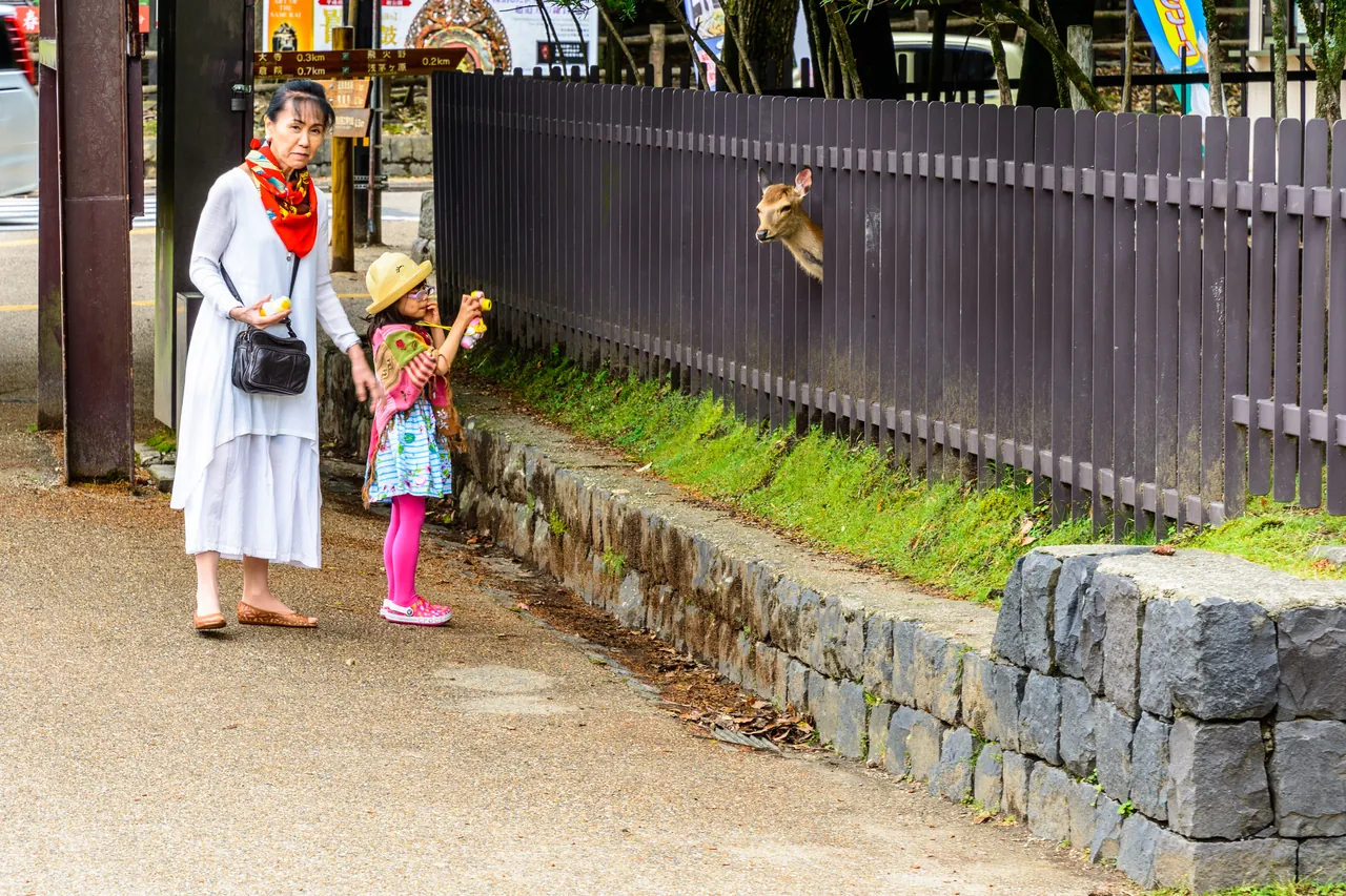 An adult and a child standing on a path in Nara Park, facing a deer that has come up to them