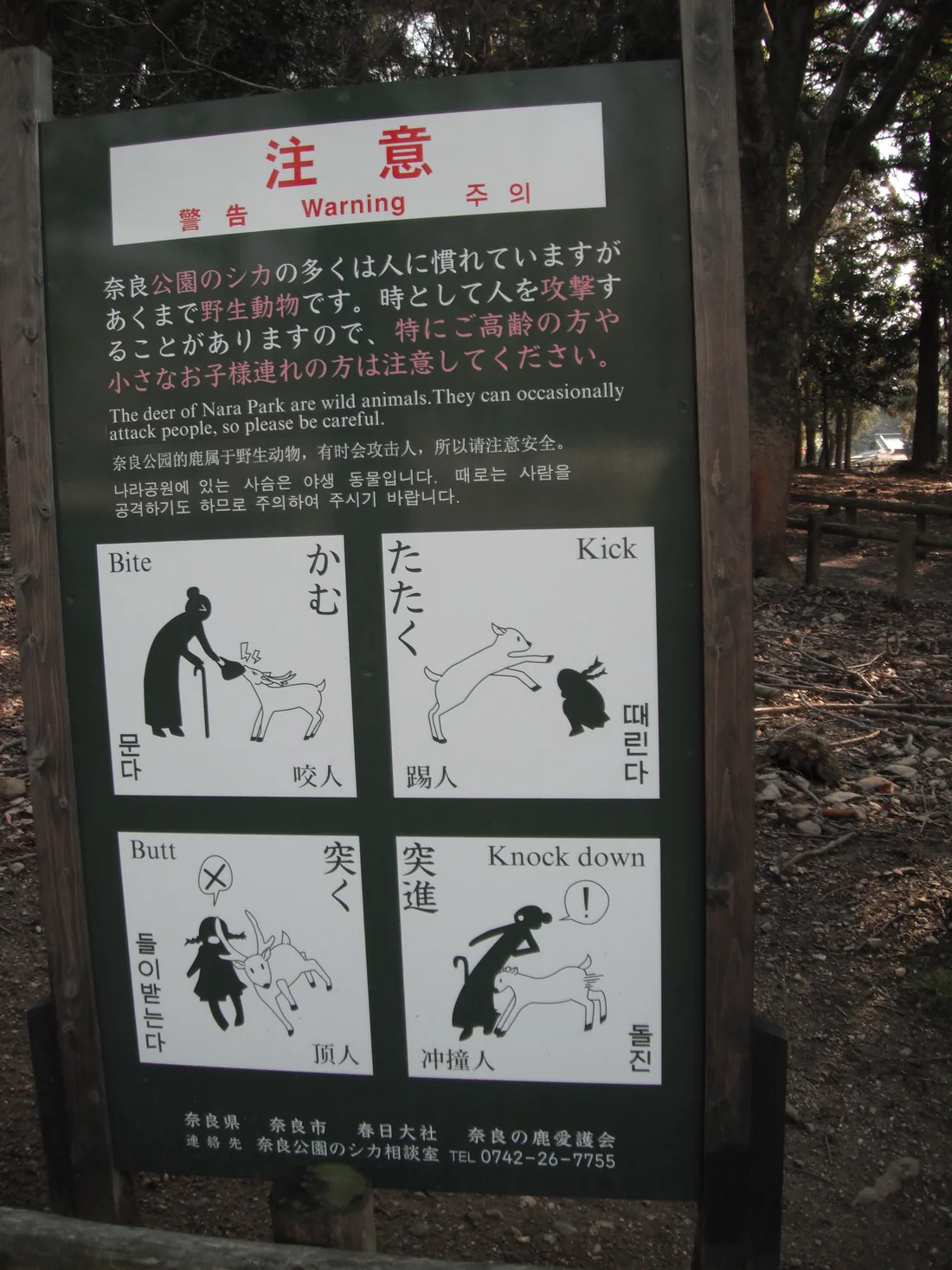 A sign in Nara Park showing four pictograms of the ways deer injure people: butting, charging, kicking and biting