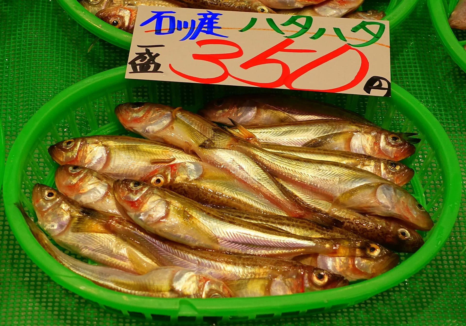 A fish counter at Omicho Market, with fish laid out on ice