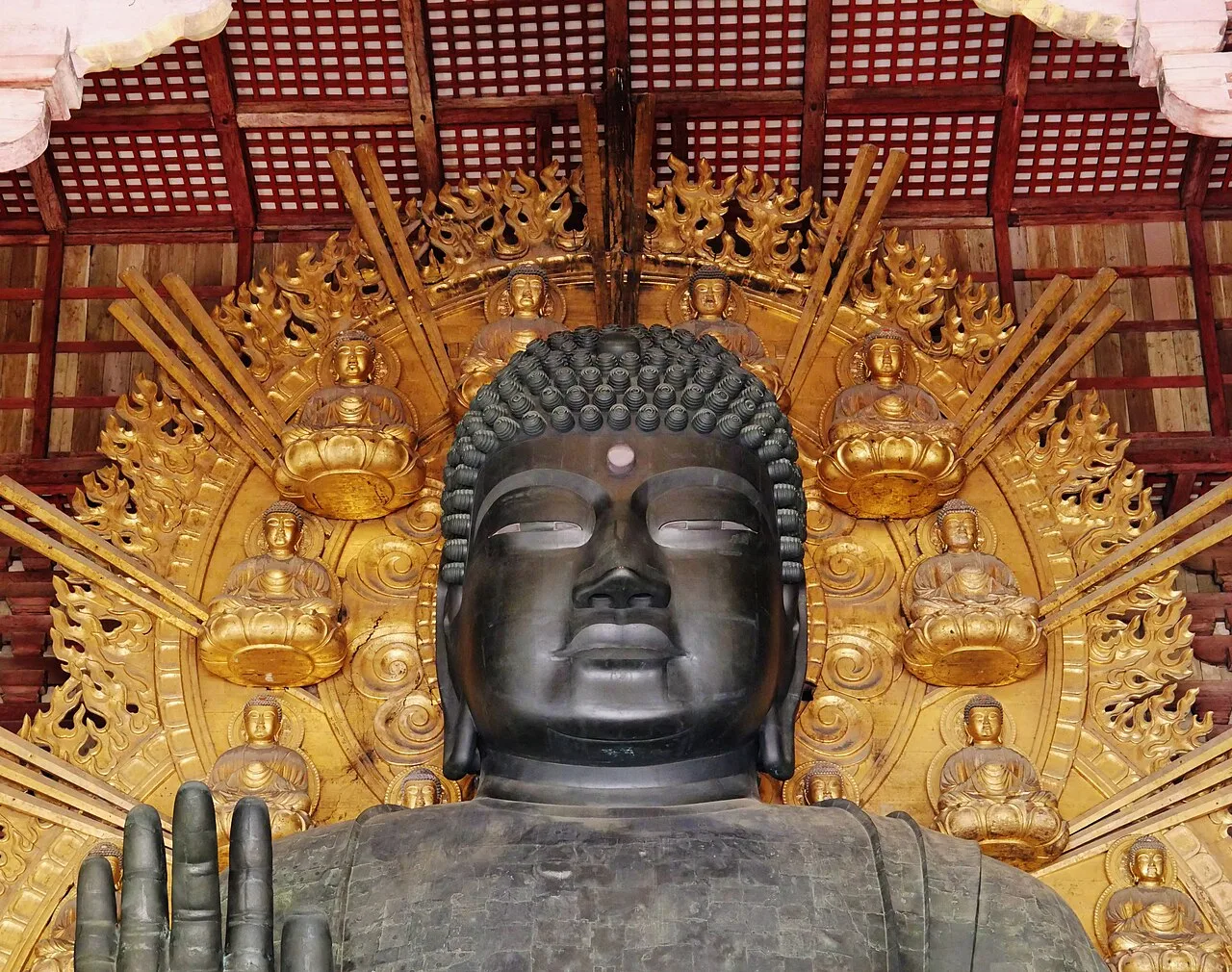 The head and shoulders of the Great Buddha at Todai-ji, with the rows of curls covering the head clearly visible